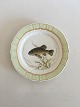 Royal Copenhagen Green Fish Plate No 919/1710 with Tinca Vulgaris