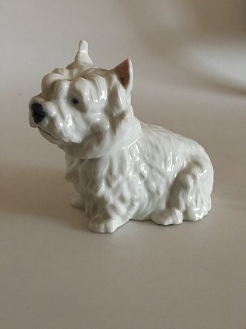 Royal Copenhagen Figurine West Highland White Terrier No 4918