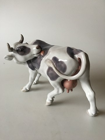 Royal Copenhagen Figurine Cow licking No 446