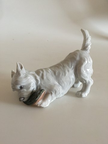 Royal Copenhagen Figurine of Dog with Slipper (terrier) No 3476