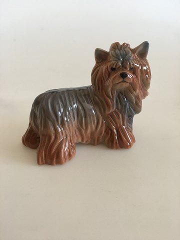 Royal Copenhagen Animal Figurine of Yorkshire Terrier No 043