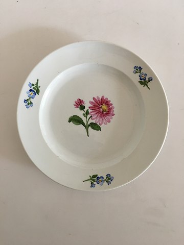 Meissen Dinner Plate with Flower Decoration