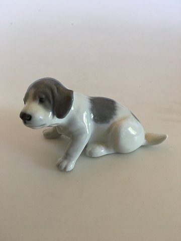 Royal Copenhagen Puppy Figurine No. 1311