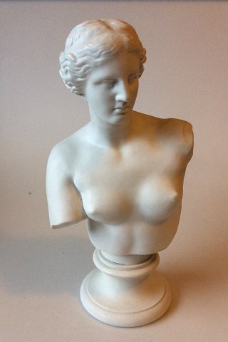 Bing & Grondahl Bisque Bust of Venus from Milo