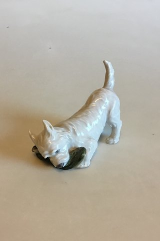 Royal Copenhagen Figurine of Terrier with Slipper No 3476