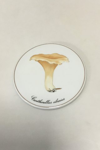 Bing & Grondahl Fungus Plate No 3513/949