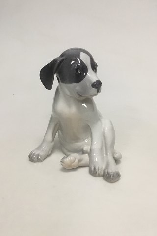 Royal Copenhagen Figurine of Pointer Puppy No 259