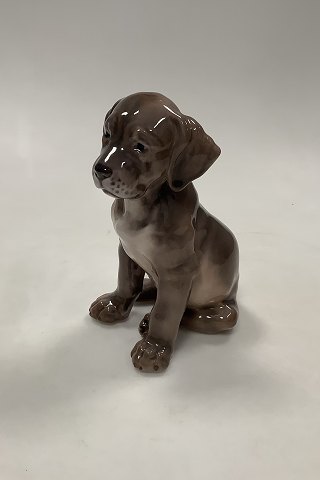 Dahl Jensen Figurine Dog Broholmer Puppy No 1255