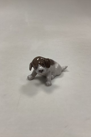 Royal Copenhagen Figurine of Pointer Puppy No. 1311