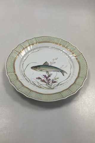 Royal Copenhagen Green Dinner Fish Plate No 919/1710 with Clupea pilchcardus
