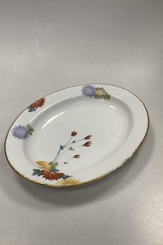 Royal Copenhagen No 93. White Half Lace w. Flowers and Gold Oval Platter 36,6cm 
/ 14.41 inch