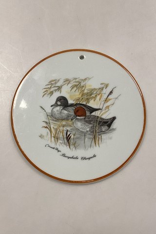 Mads Stage Trivit - Common Goldeneye