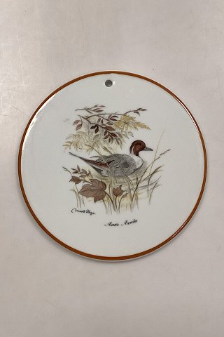 Mads Stage Trivit - Northern Pintail. Latin: Anas Acuta.