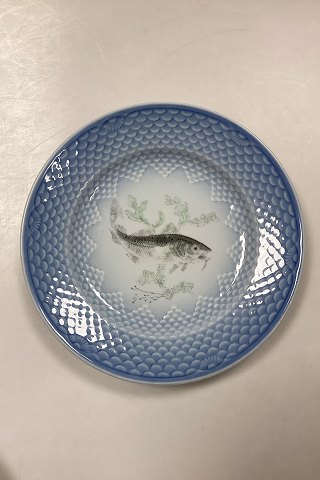 Bing and Grøndahl Blue Tone Fish Plate motif 6 Cod No. 716 - CHIPED/WORN