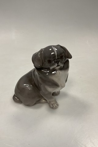 Royal Copenhagen Figurine Pekingese Puppy No. 1860