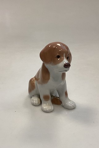 Royal Copenhagen figurine Sct. Bernard puppy No. 439