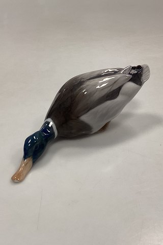 Royal Copenhagen Figurine of Mallard No. 1934