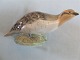 Royal Copenhagen Figurine Bird Patridge No 2261