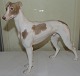Bing & Grondahl Figurine Greyhound Standing No 2076